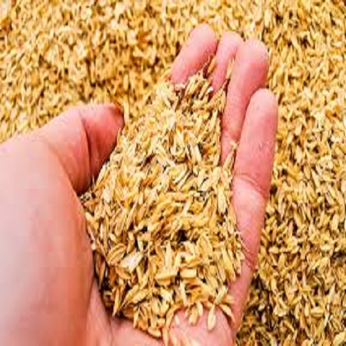 Business Development Manager